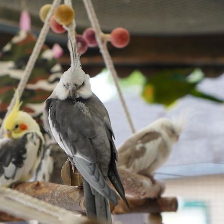 Maerchencamping Stuhr Zewnętrze zdjęcie