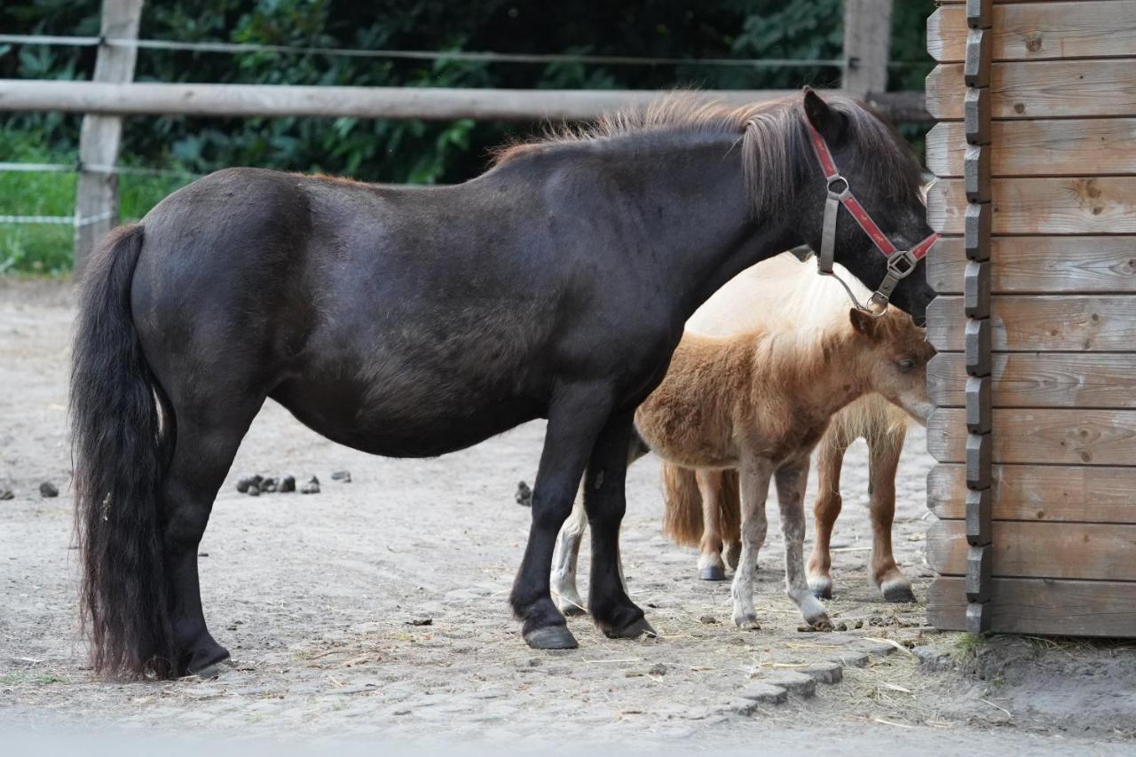 Maerchencamping Stuhr Zewnętrze zdjęcie