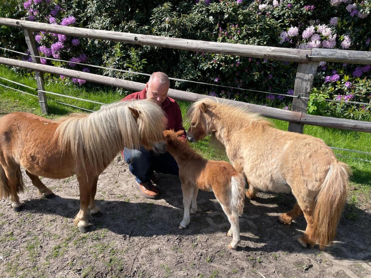 Maerchencamping Stuhr Zewnętrze zdjęcie