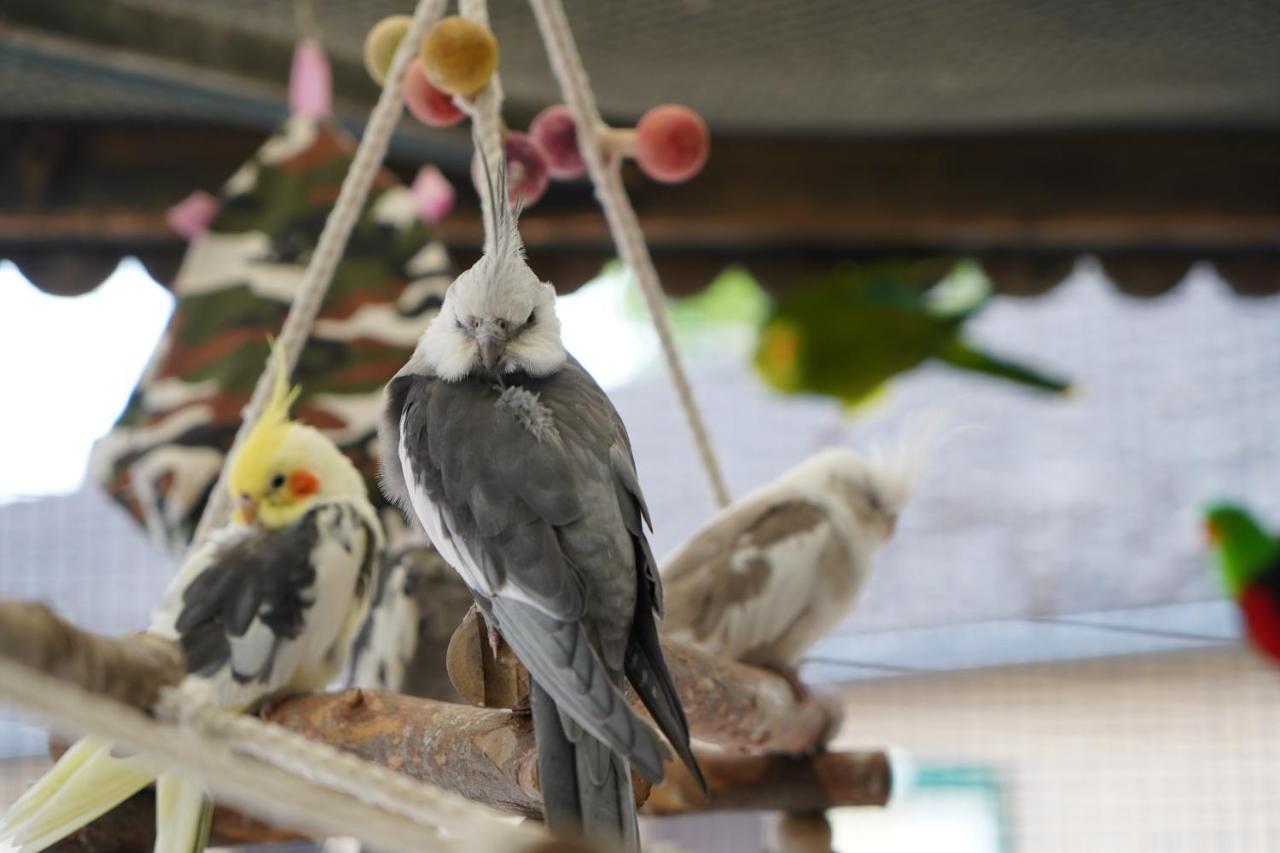 Maerchencamping Stuhr Zewnętrze zdjęcie